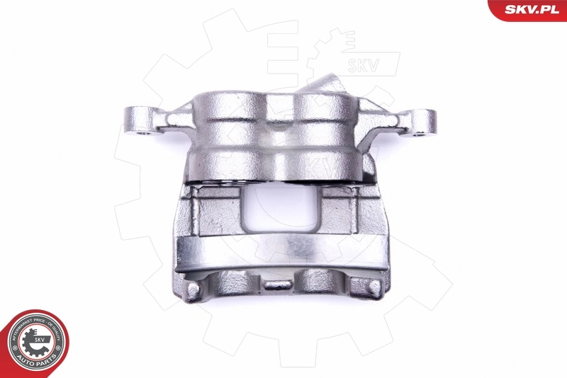 Brake Caliper 50SKV012