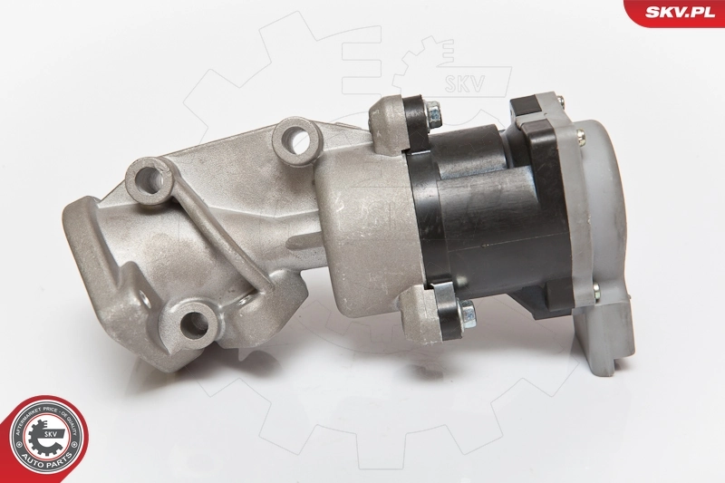 EGR Valve 14SKV072