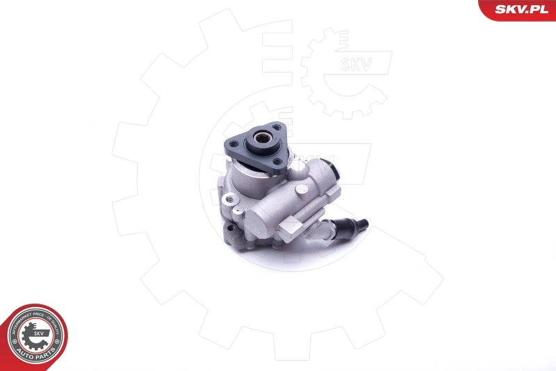 Hydraulic Pump, steering 10SKV243