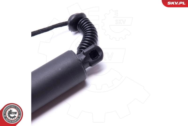 Electric Motor, tailgate 52SKV914