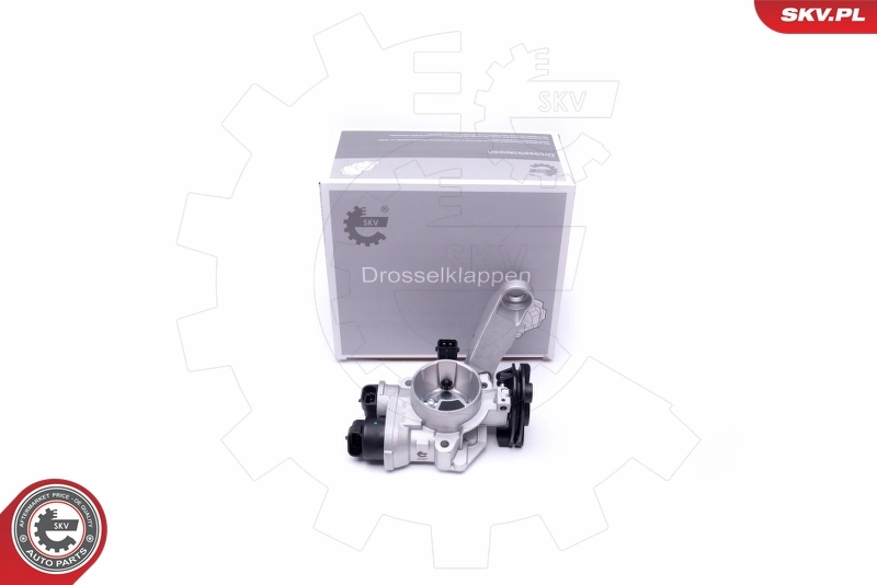 Throttle Body 12SKV082