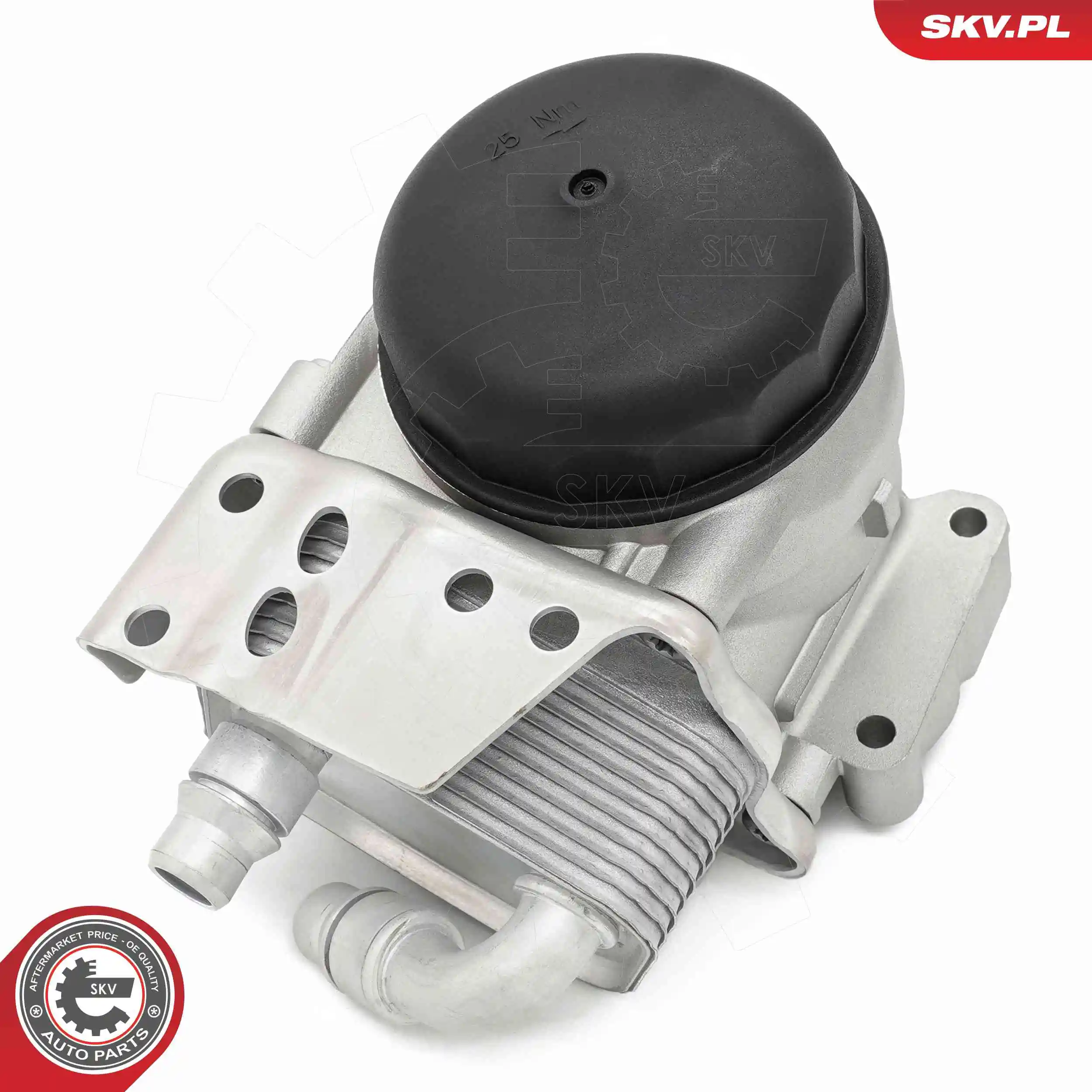 Oil Cooler, engine oil 31SKV443