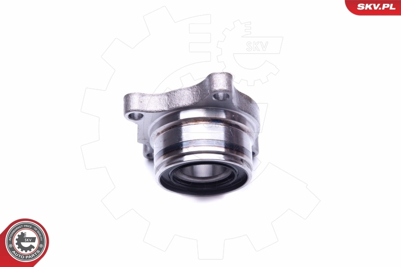 Wheel Bearing Kit 29SKV191