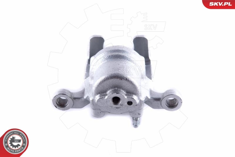 Brake Caliper 55SKV023