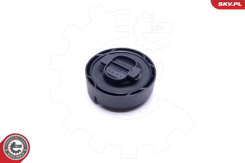 Sealing Cap, oil filler neck 61SKV030