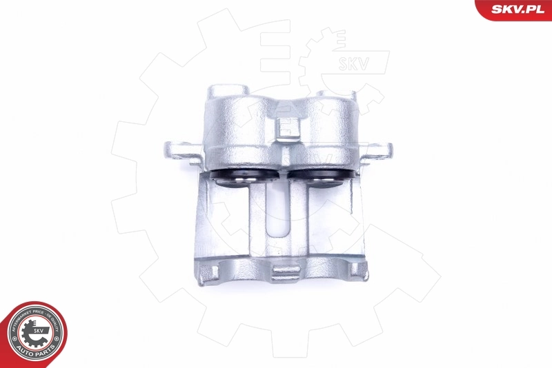 Brake Caliper 42SKV932
