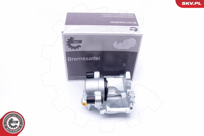 Brake Caliper 42SKV163