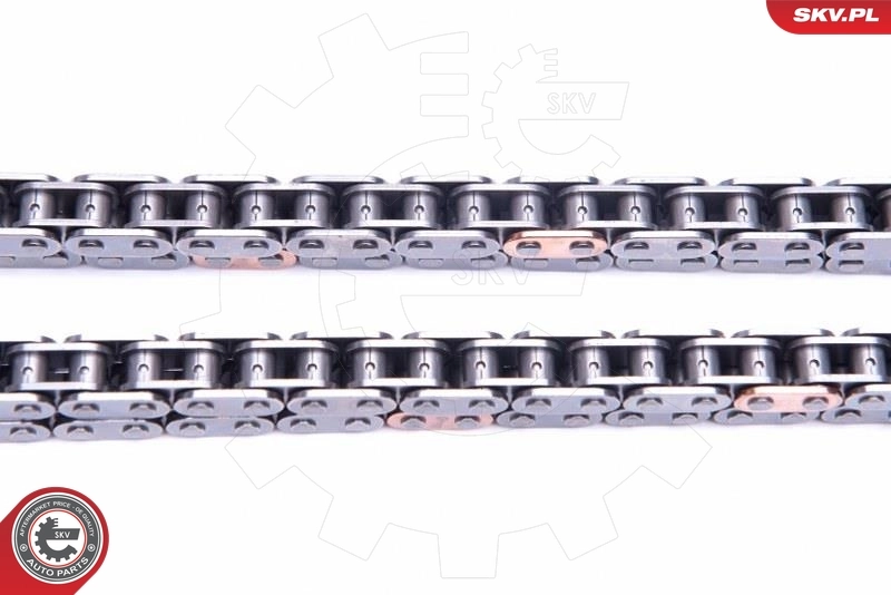 Timing Chain Kit 21SKV226