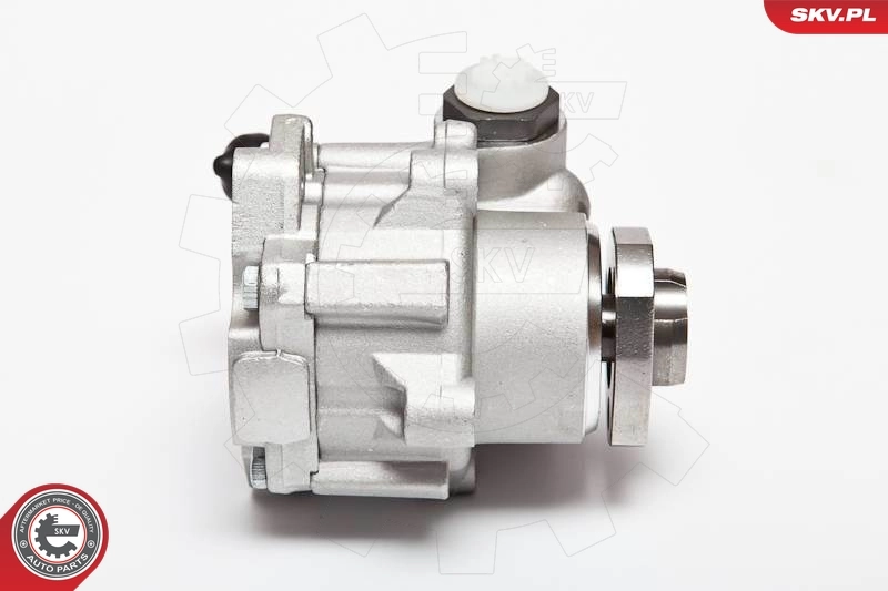Hydraulic Pump, steering 10SKV018