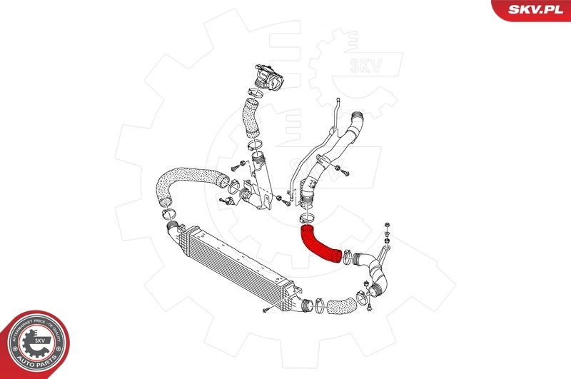 Charge Air Hose 43SKV212