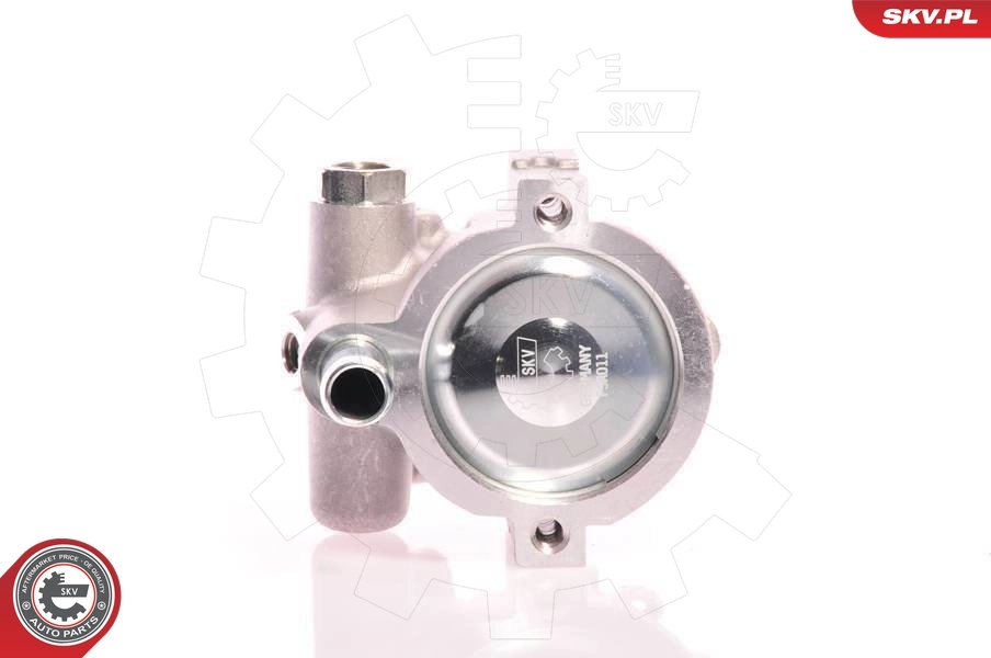 Hydraulic Pump, steering 10SKV021