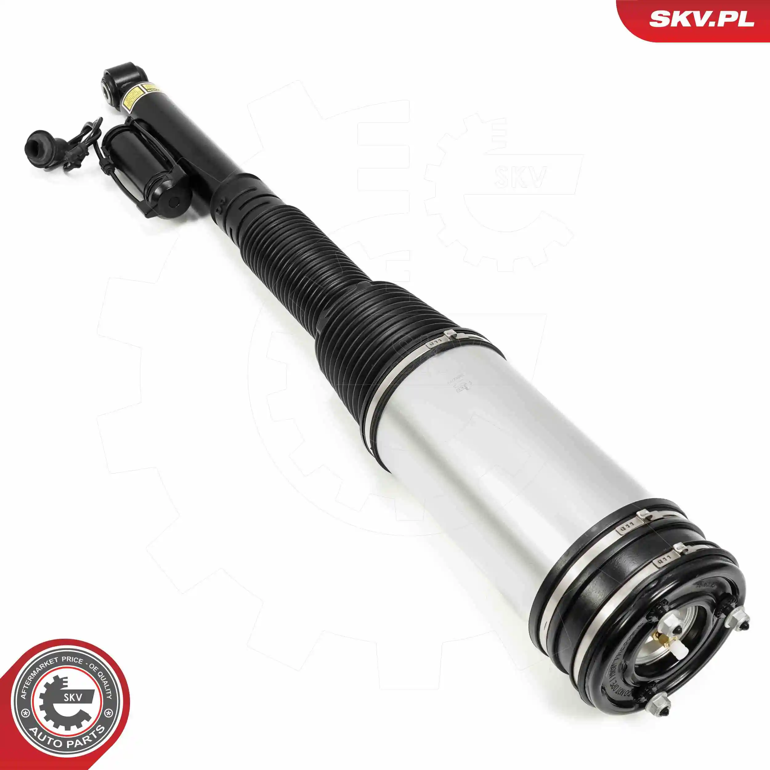 Air Suspension Strut 58SKV719