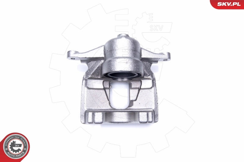 Brake Caliper 44SKV871