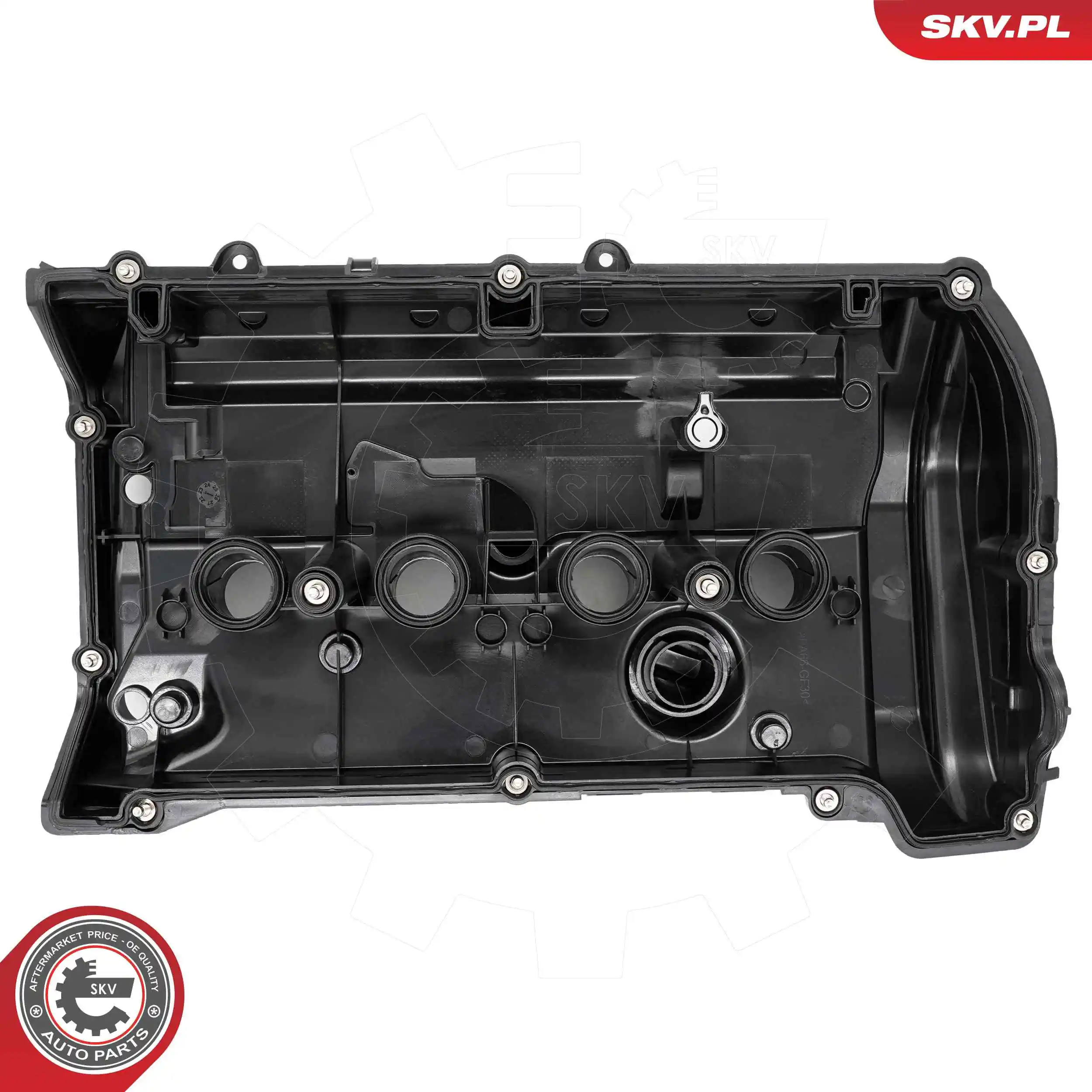 Cylinder Head Cover 48SKV134