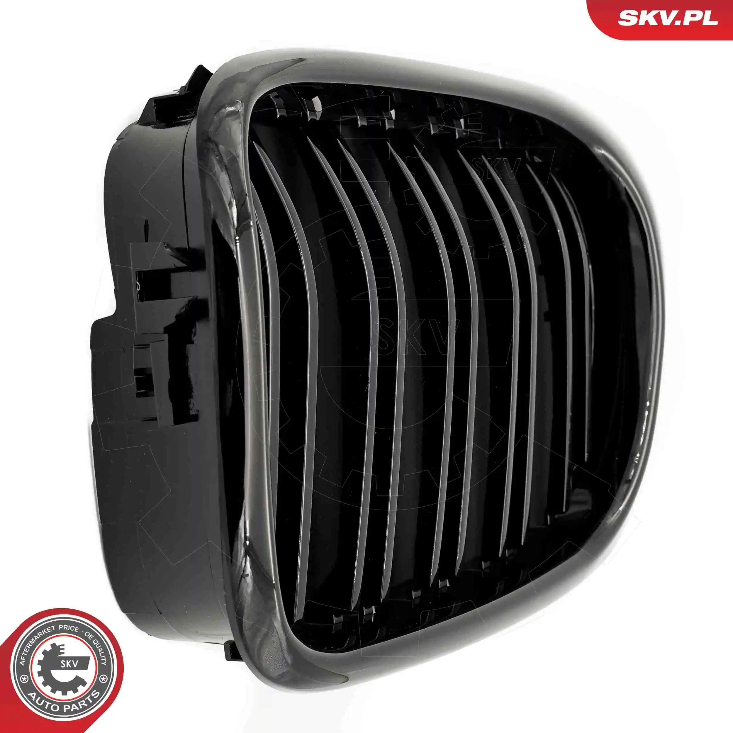 Radiator Grille 66SKV161