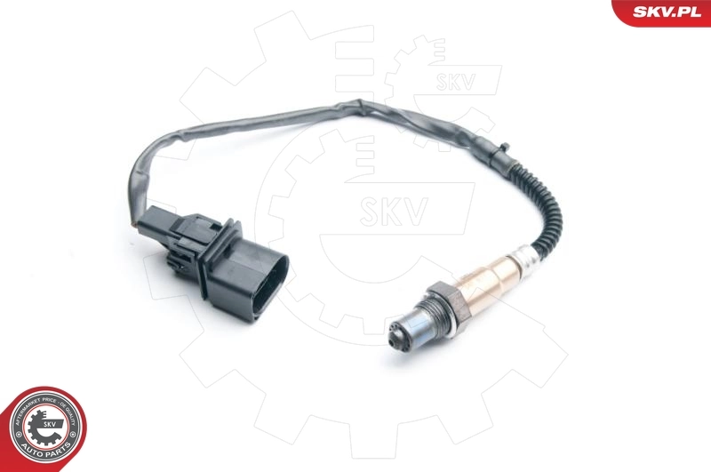 Oxygen Sensor 09SKV870