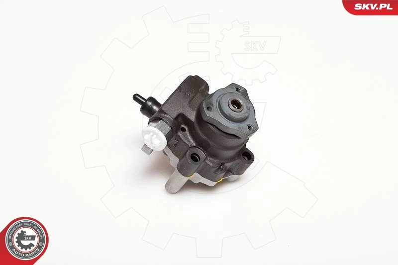 Hydraulic Pump, steering 10SKV094