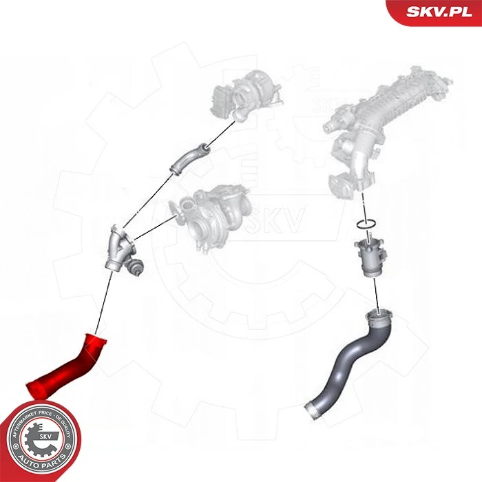 Charge Air Hose 43SKV429