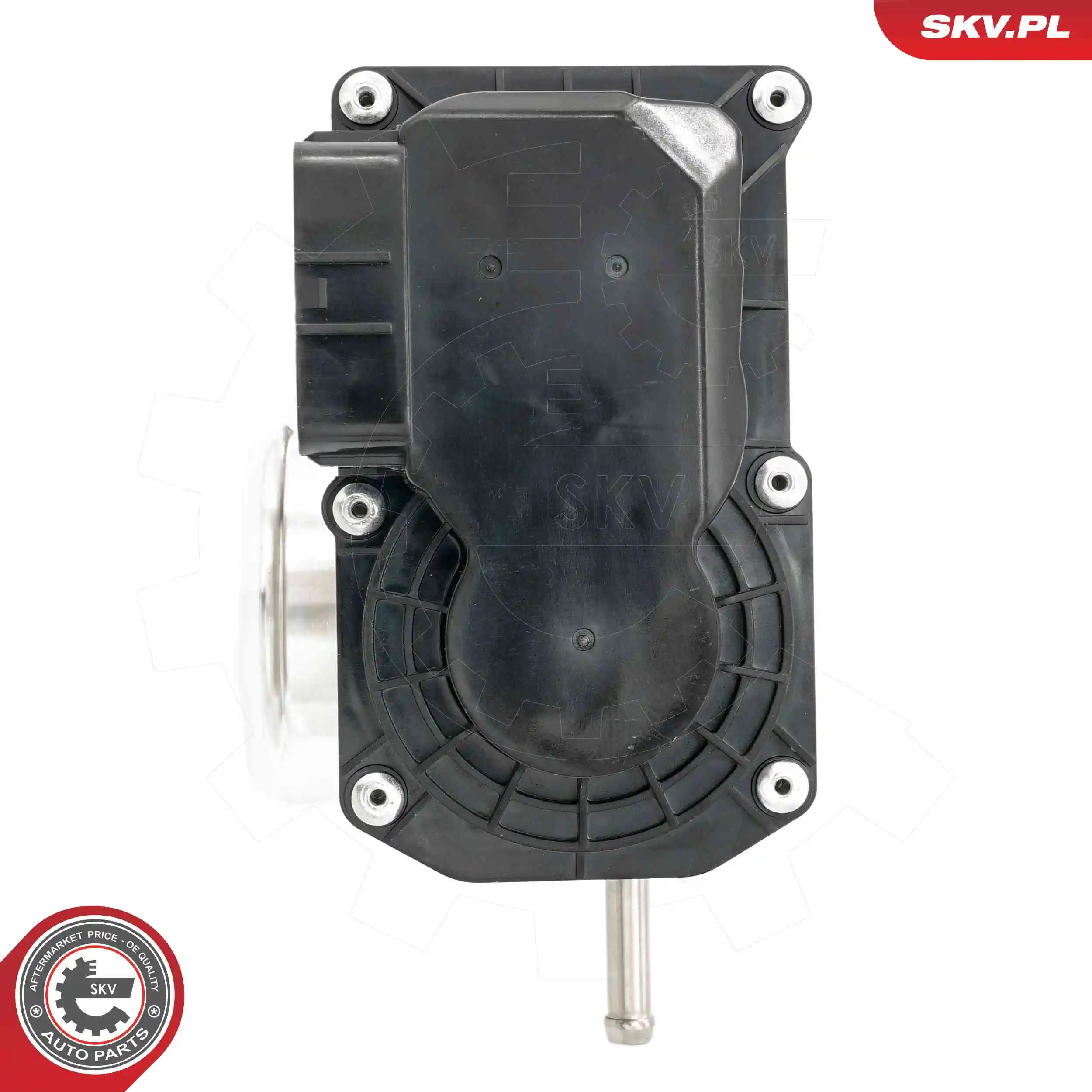 Throttle Body 12SKV134