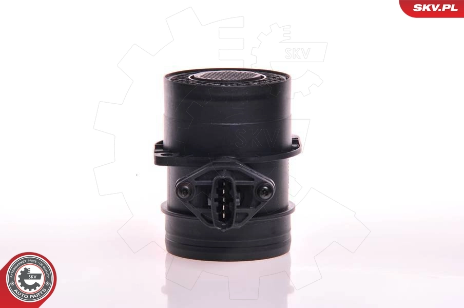 Mass Air Flow Sensor 07SKV091