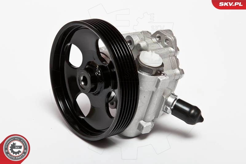 Hydraulic Pump, steering 10SKV023