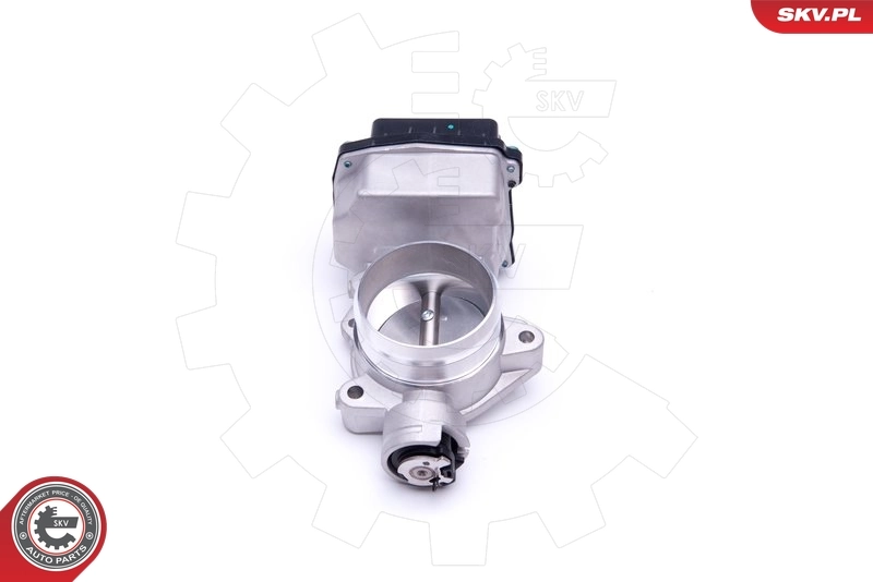 Throttle Body 12SKV072