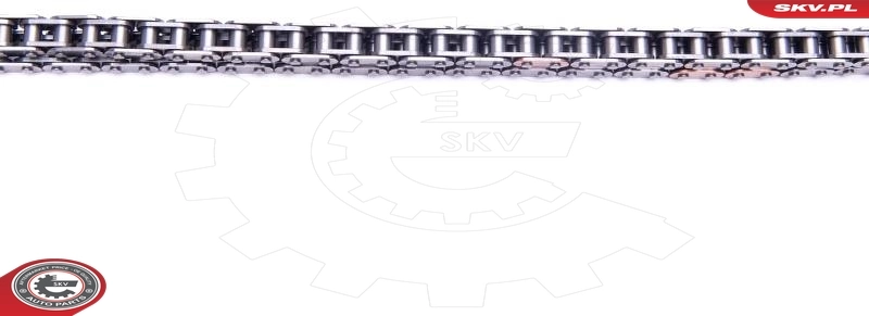 Timing Chain Kit 21SKV113