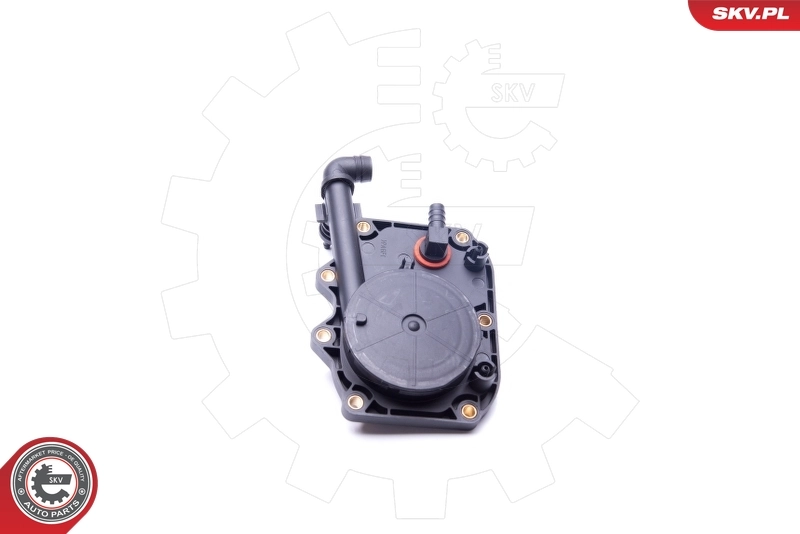 バルブ、クランクケースエア抜き 31SKV068