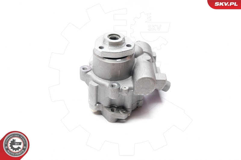 Hydraulic Pump, steering 10SKV223