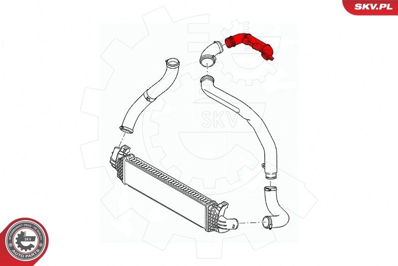 Charge Air Hose 43SKV309