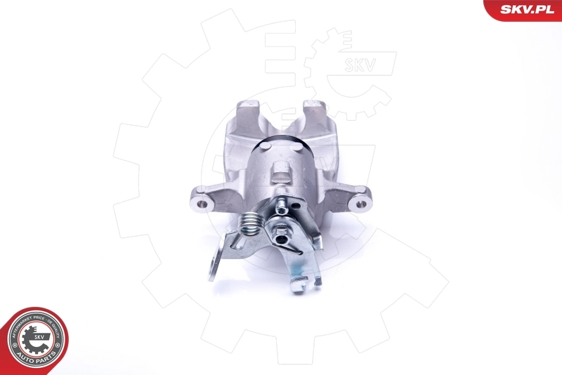 Brake Caliper 42SKV067