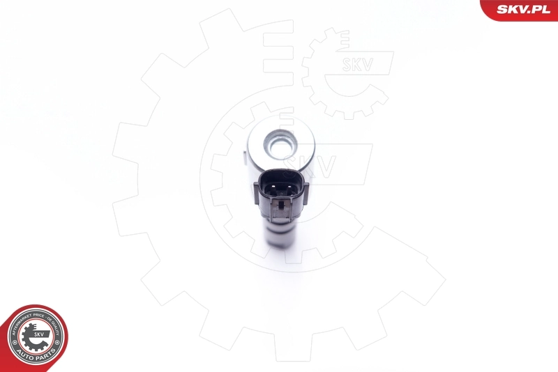 Control Valve, camshaft adjustment 39SKV039