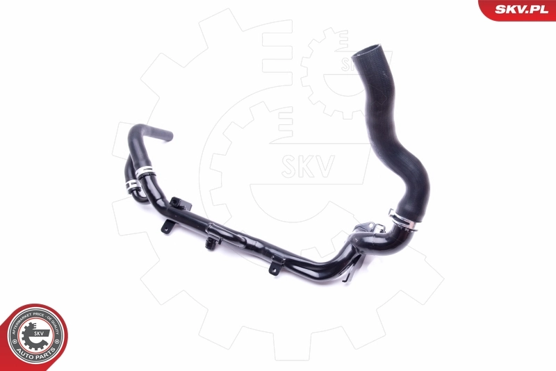 Radiator Hose 43SKV749