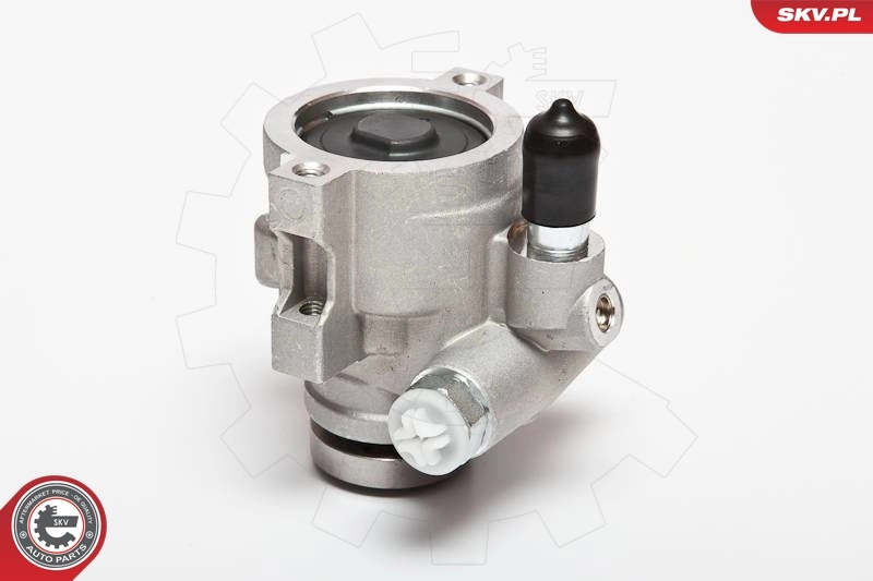 Hydraulic Pump, steering 10SKV089