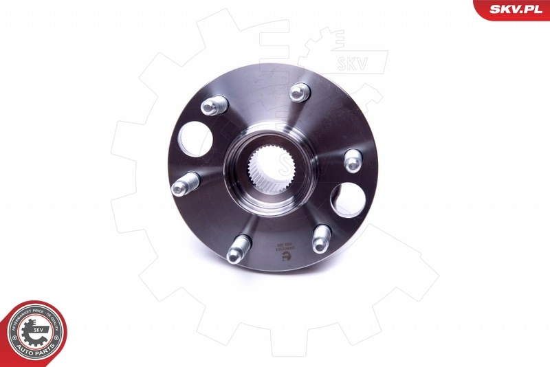 ESEN SKV 29SKV319 Wheel Bearing Kit