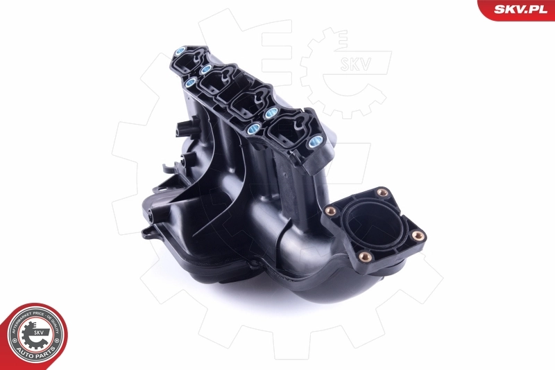 Intake Manifold Module 49SKV058