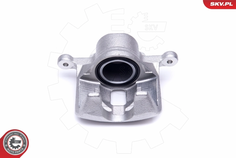 Brake Caliper 50SKV482