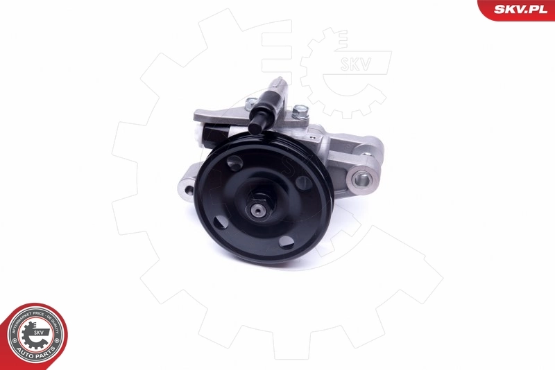 Hydraulic Pump, steering 10SKV262