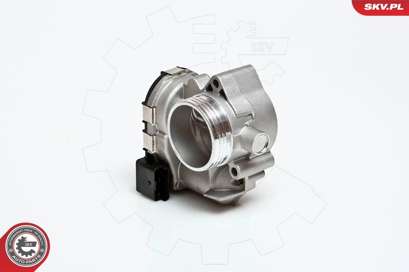 Throttle Body 12SKV001