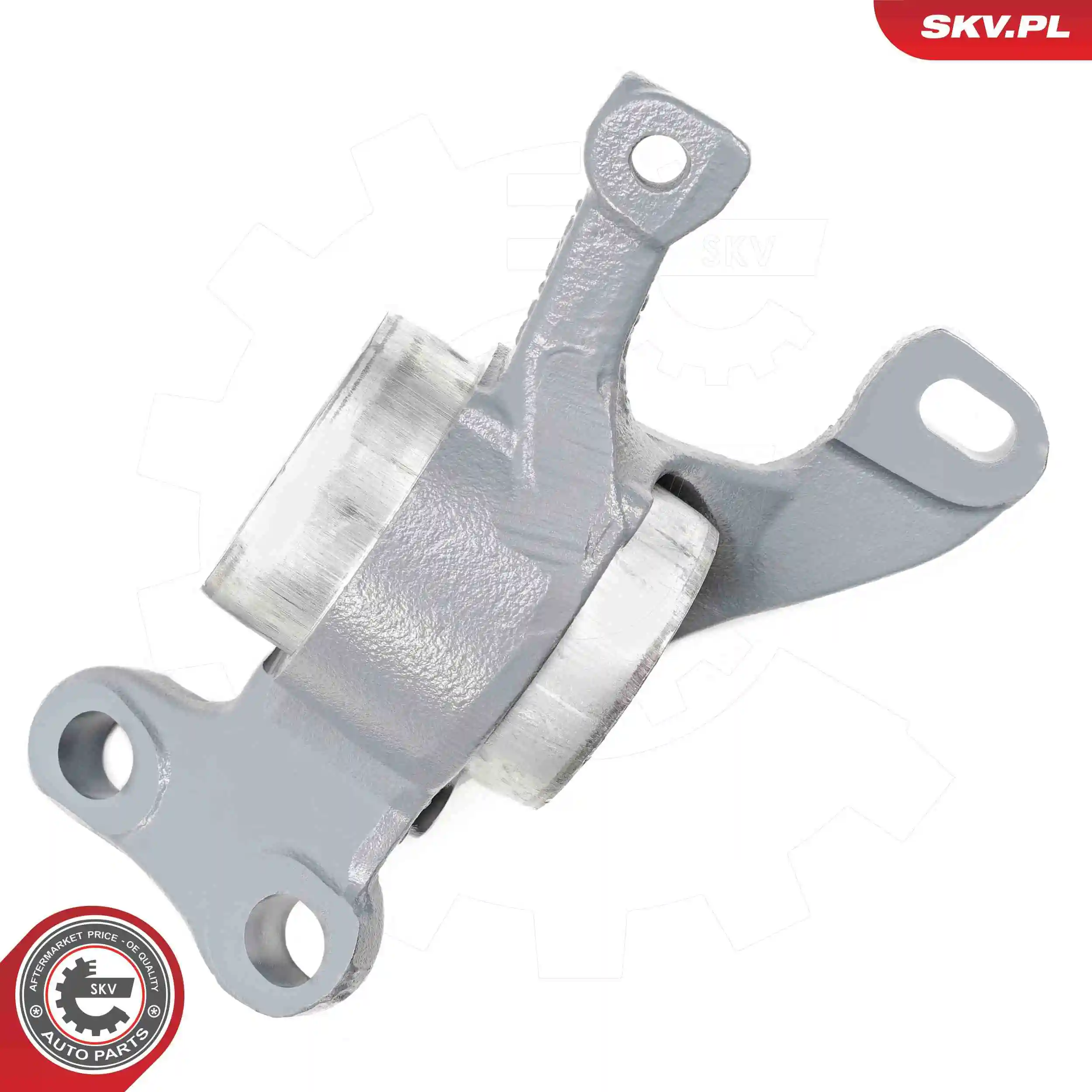 ESEN SKV 69SKV566 Mounting, control/trailing arm