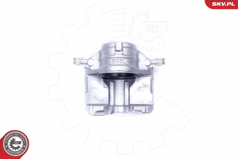 Brake Caliper 42SKV801