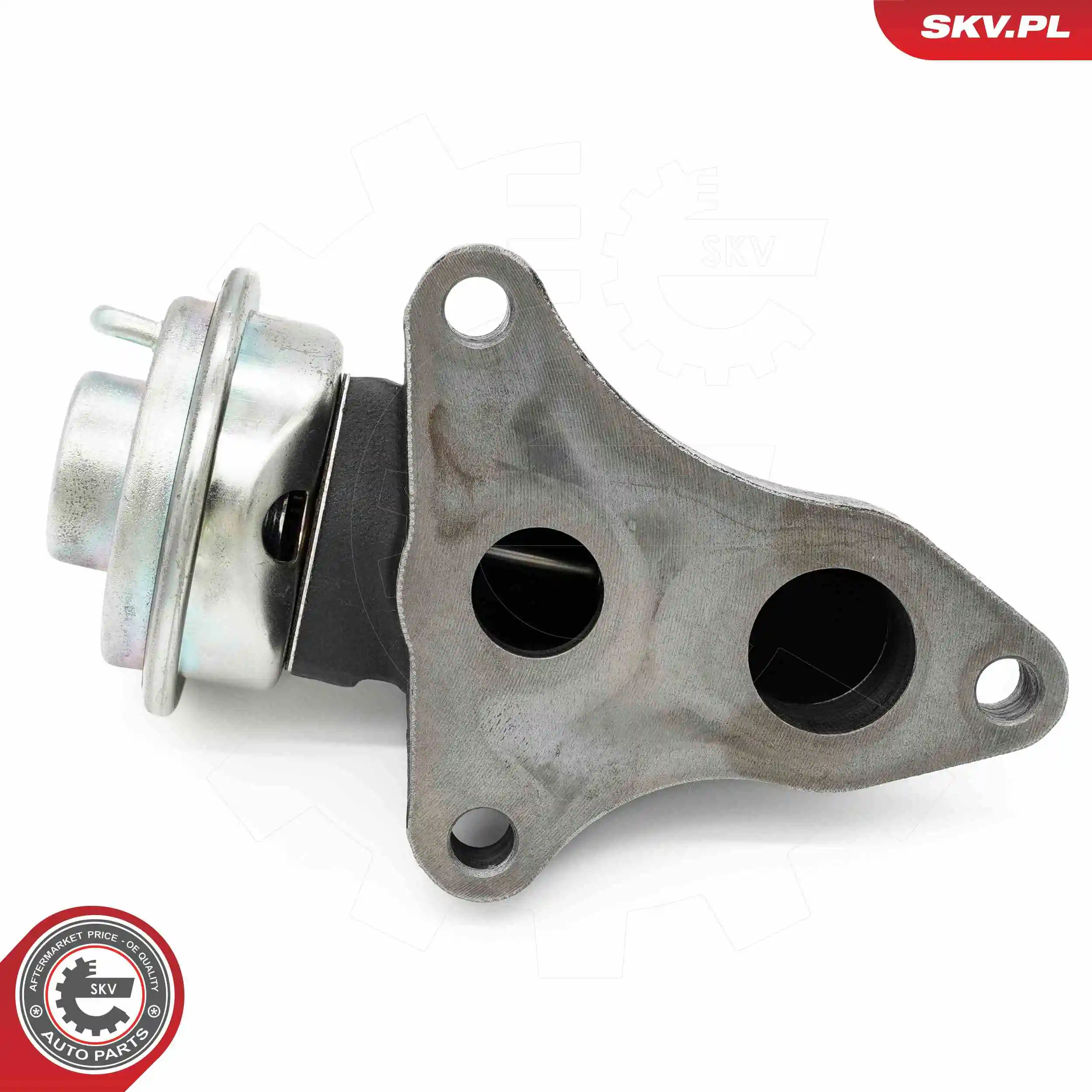 EGR Valve 14SKV263