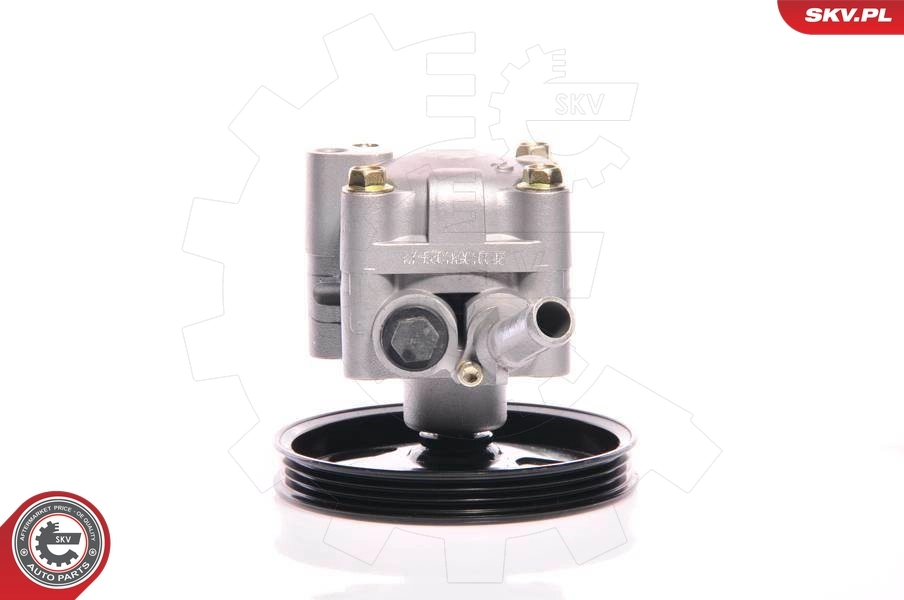 Hydraulic Pump, steering 10SKV127