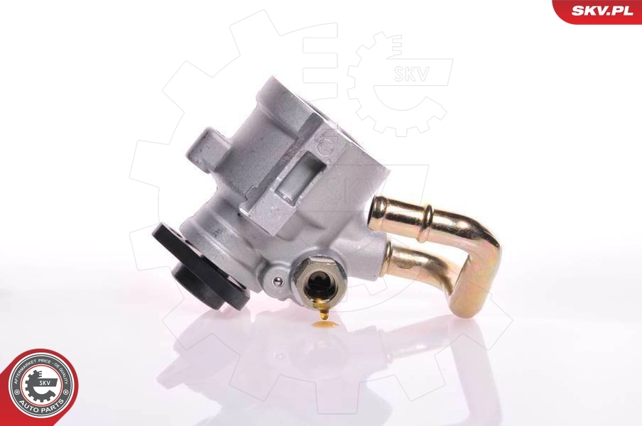 Hydraulic Pump, steering 10SKV149