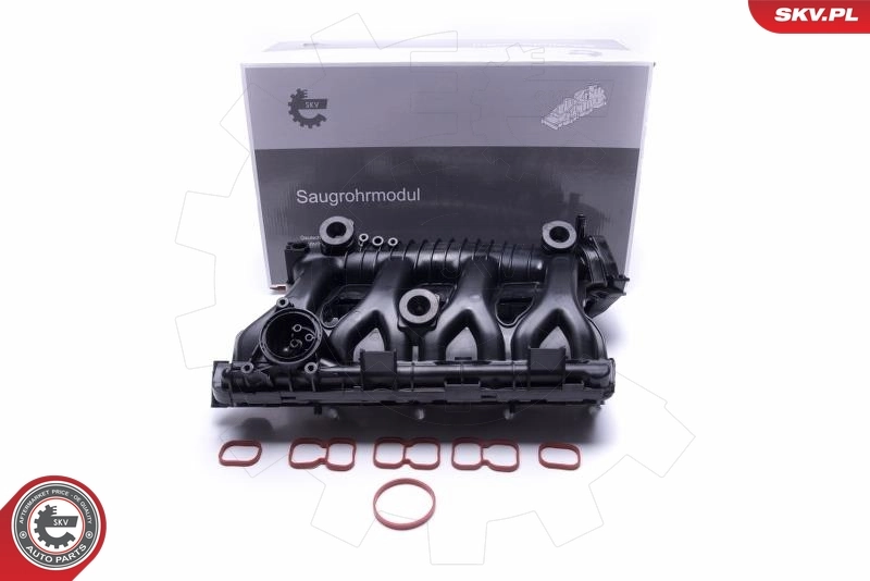 Intake Manifold Module 49SKV025