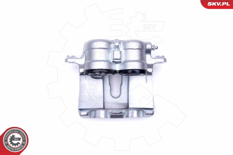 Brake Caliper 46SKV032