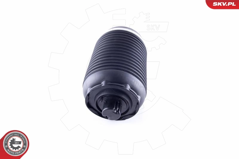Air Spring, suspension 58SKV030