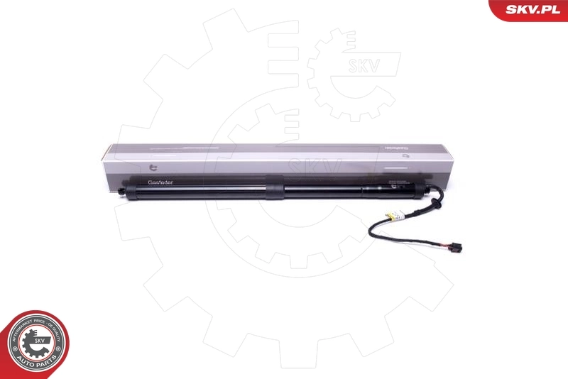 Electric Motor, tailgate 52SKV910