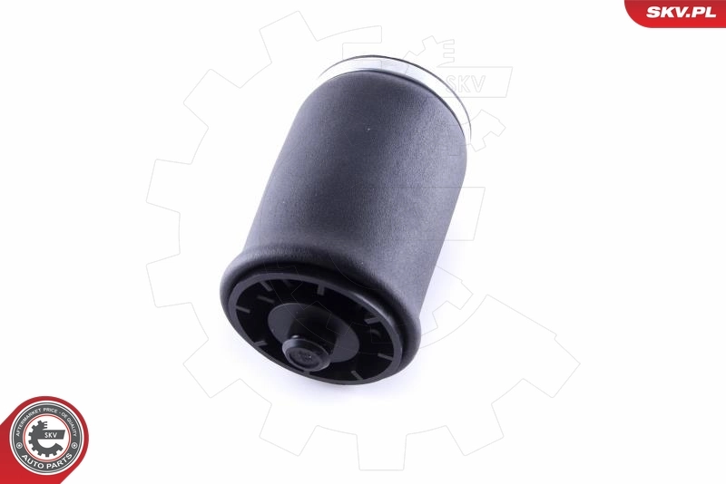 Air Spring, suspension 58SKV003