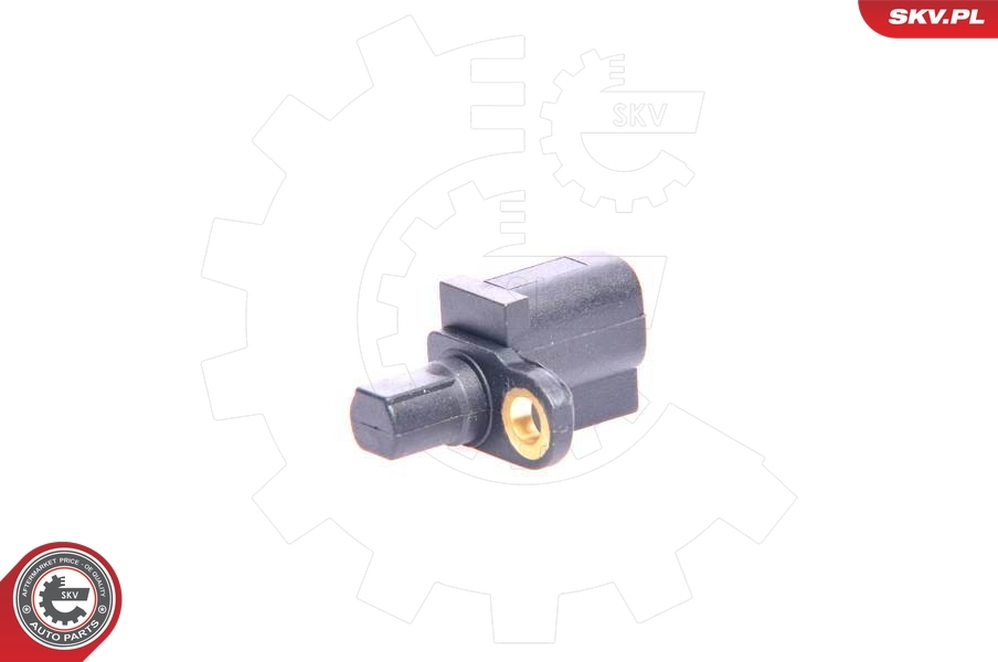 Sensor, Raddrehzahl 06SKV004